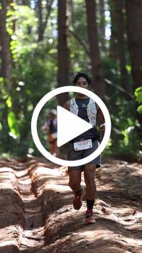 BIB:  <button type="button" onclick="openModal(26569488)" class="btn btn-primary btn-sm float-right" data-toggle="modal" data-target=".modal-high-quality">
                <i class="fa fa-download"></i> Download
                </button>